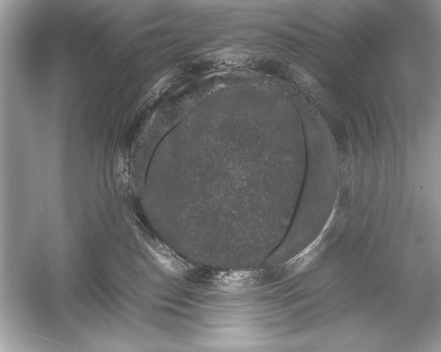 X0000051880186200507221959