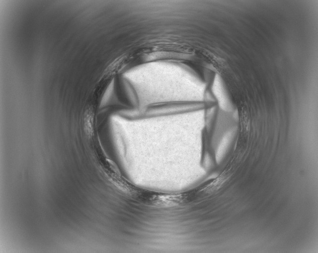 X0000051880188200507221959