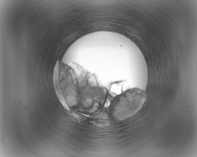 X0000051880189200507221959