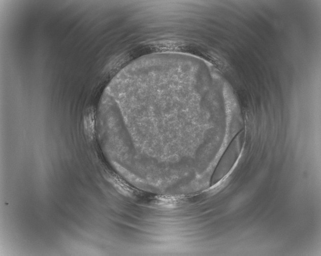 X0000051880190200507221959