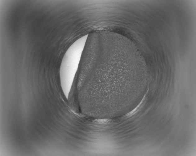 X0000051880192200507221959