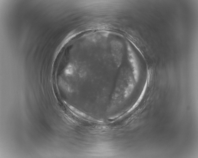 X0000051880195200507221958