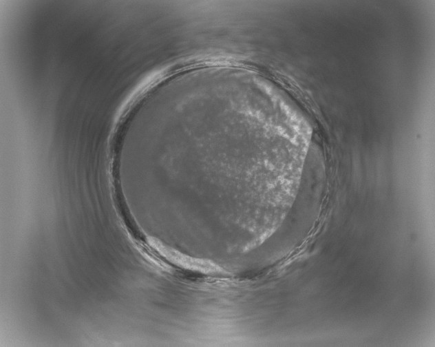 X0000051880197200507221958