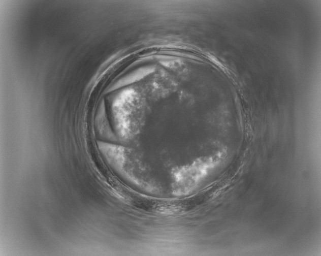 X0000051880199200507221958