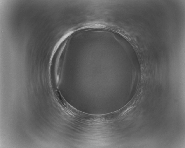 X0000051880200200507221958