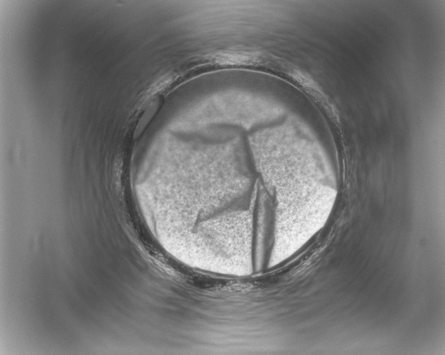 X0000051880201200507221958