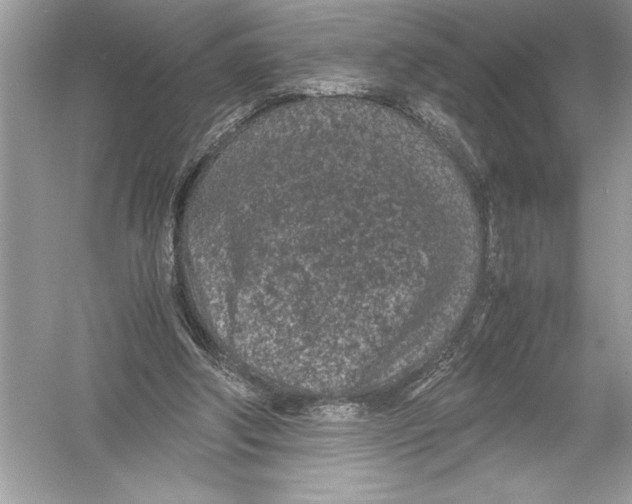 X0000051880202200507221958