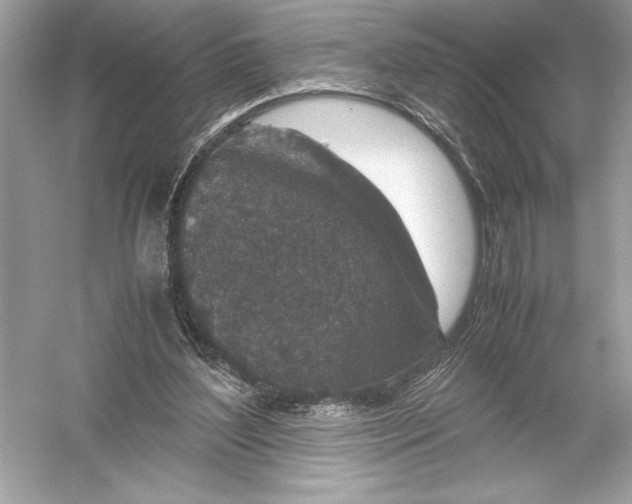 X0000051880204200507221958