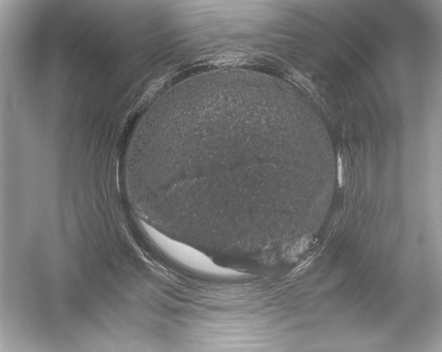 X0000051880205200507221958