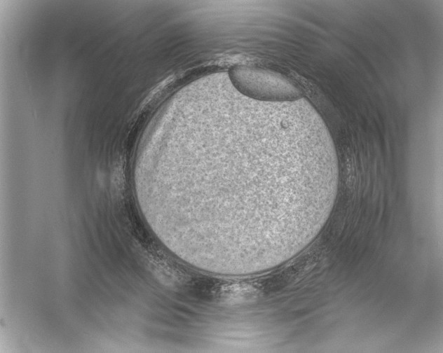 X0000051880208200507221958