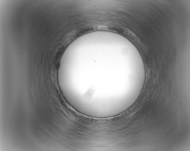 X0000051880209200507221958