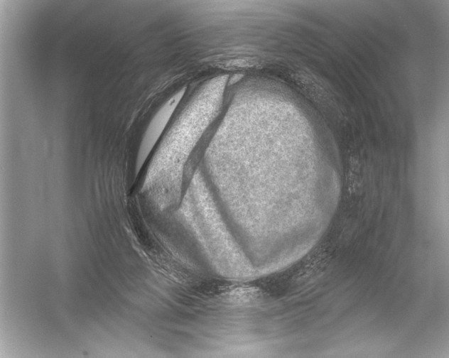 X0000051880210200507221958