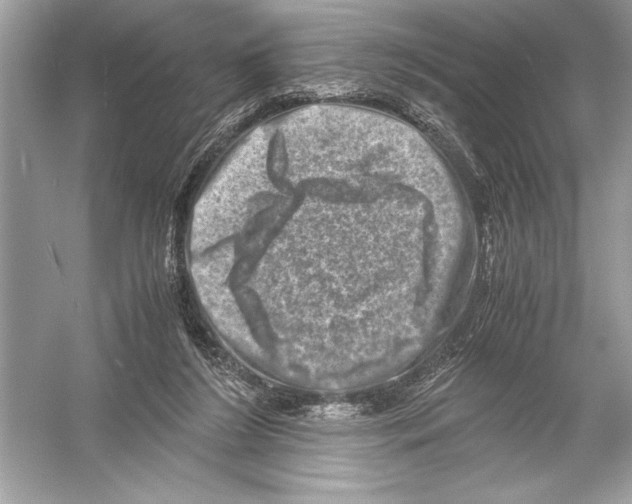 X0000051880212200507221958