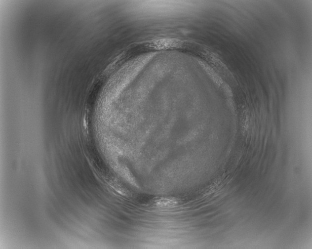 X0000051880214200507221958