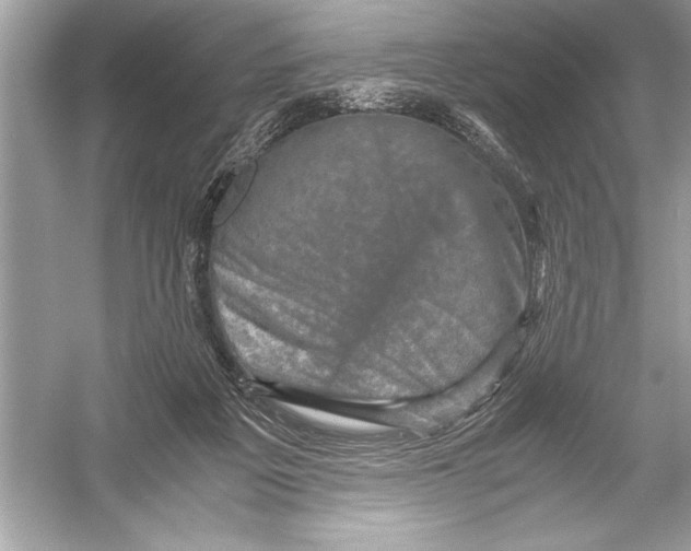 X0000051880217200507221958