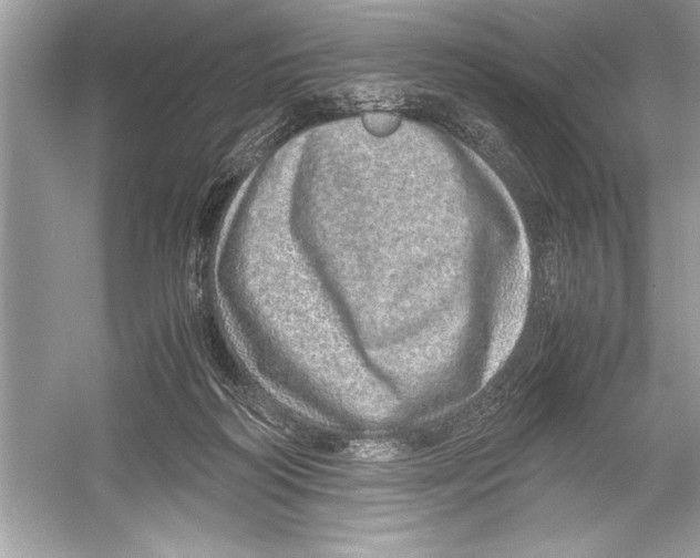 X0000051880218200507221958