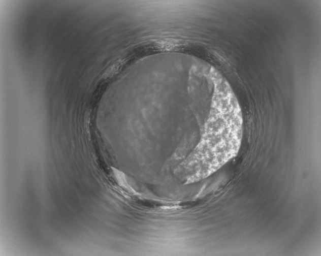 X0000051880221200507221958