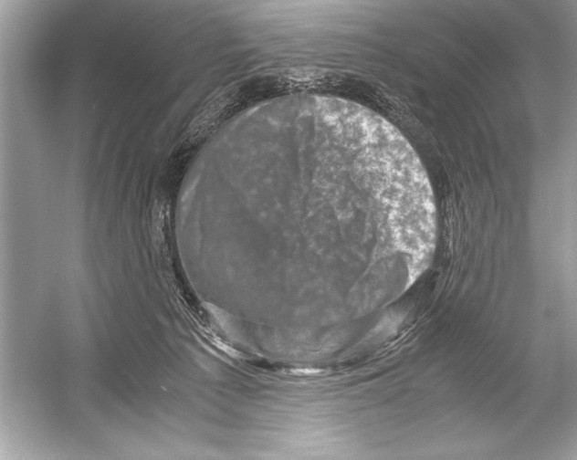 X0000051880225200507221958