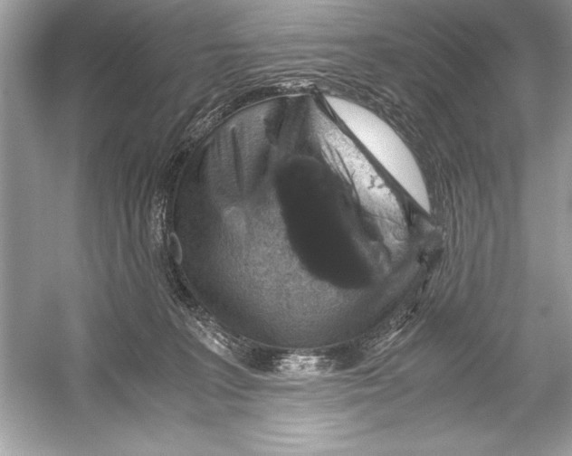 X0000051880227200507221958