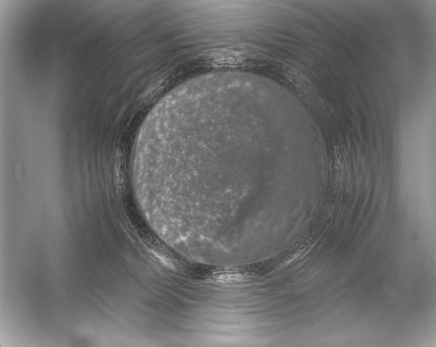 X0000051880228200507221958