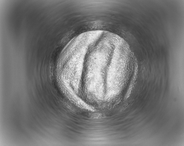 X0000051880230200507221958