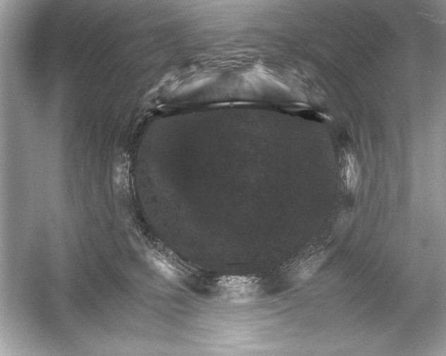 X0000051880231200507221958