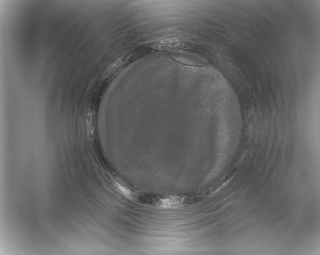 X0000051880232200507221958