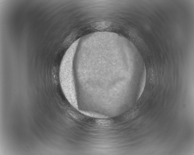 X0000051880234200507221958