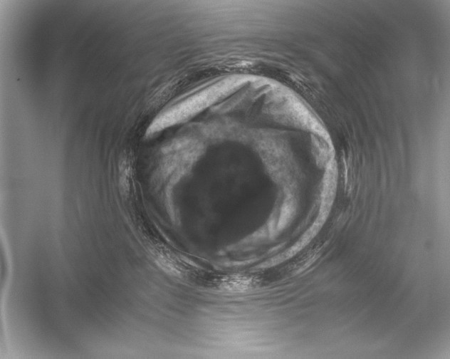 X0000051880235200507221958