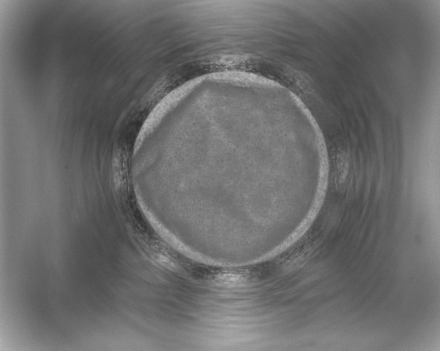 X0000051880236200507221958