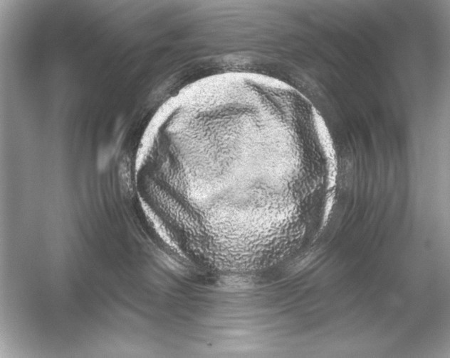 X0000051880238200507221958