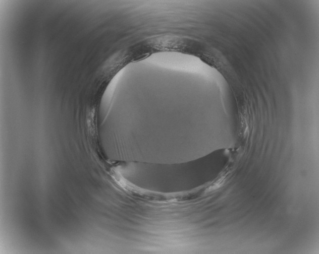 X0000051880239200507221958