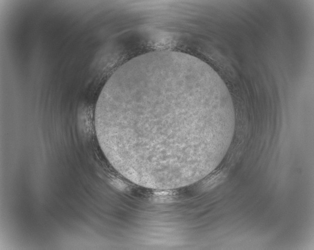 X0000051880240200507221958