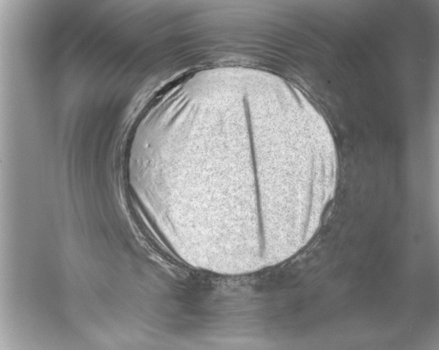 X0000051880241200507221957