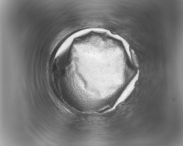 X0000051880242200507221957