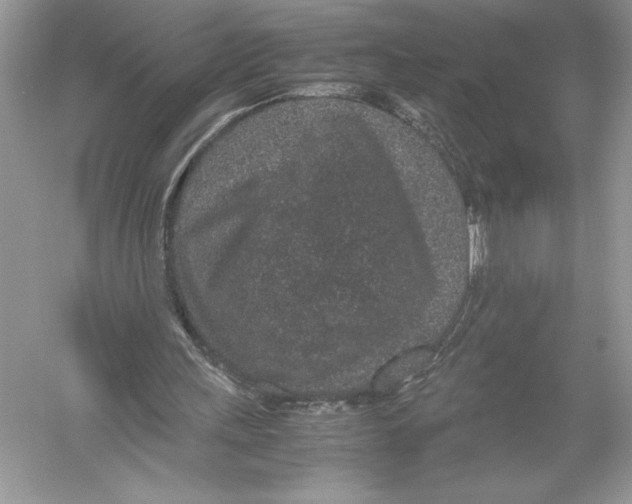 X0000051880243200507221957