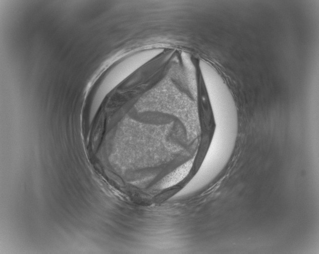 X0000051880244200507221957