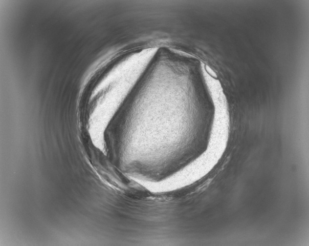 X0000051880245200507221957