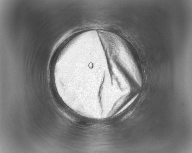 X0000051880246200507221957