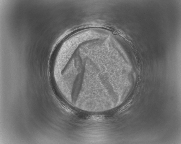 X0000051880248200507221957