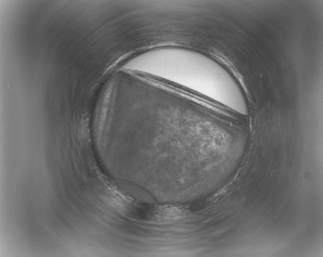 X0000051880249200507221957