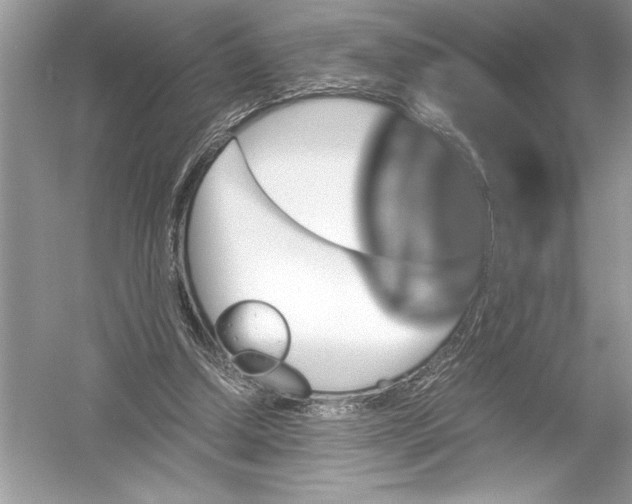 X0000051880250200507221957