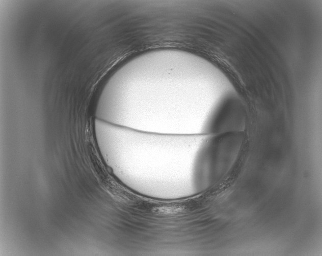 X0000051880251200507221957