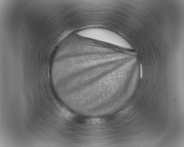 X0000051880253200507221957