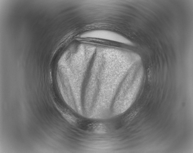 X0000051880254200507221957