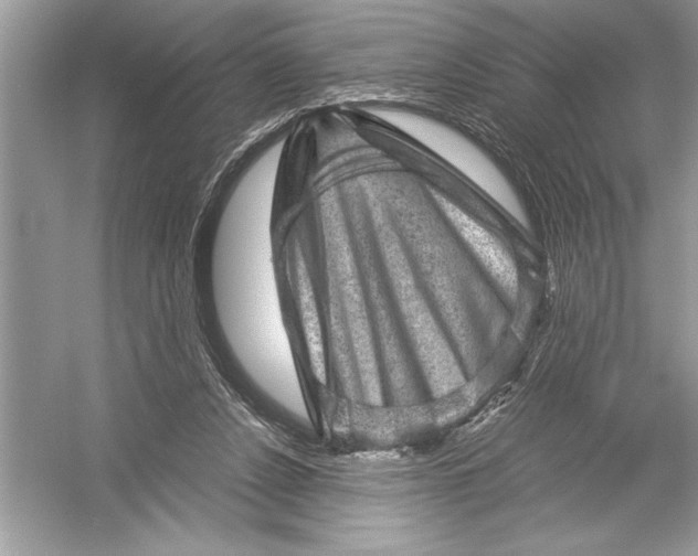 X0000051880256200507221957