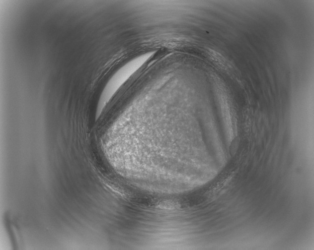 X0000051880258200507221957