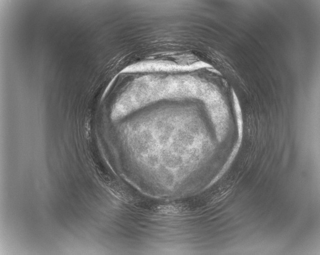 X0000051880259200507221957