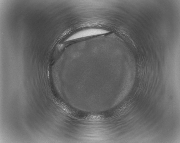 X0000051880260200507221957