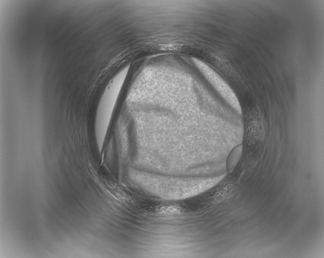 X0000051880262200507221957